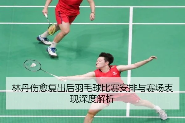 林丹伤愈复出后羽毛球比赛安排与赛场表现深度解析